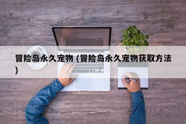 冒险岛永久宠物 (冒险岛永久宠物获取方法)