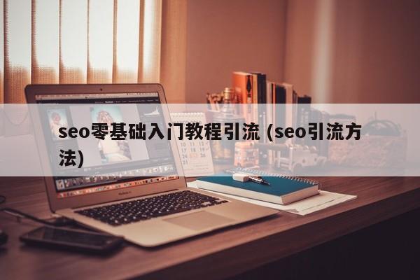 seo零基础入门教程引流 (seo引流方法)