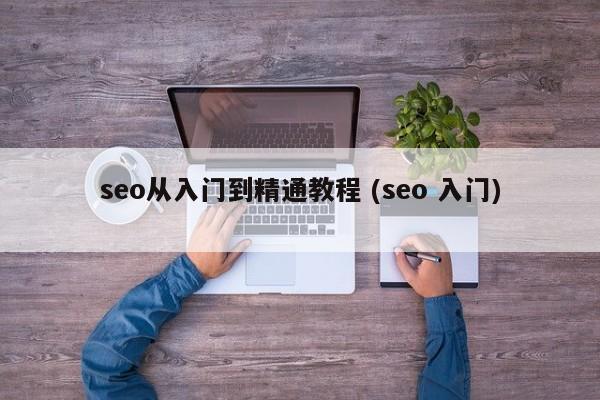 seo从入门到精通教程 (seo 入门)
