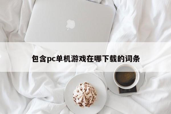 包含pc单机游戏在哪下载的词条