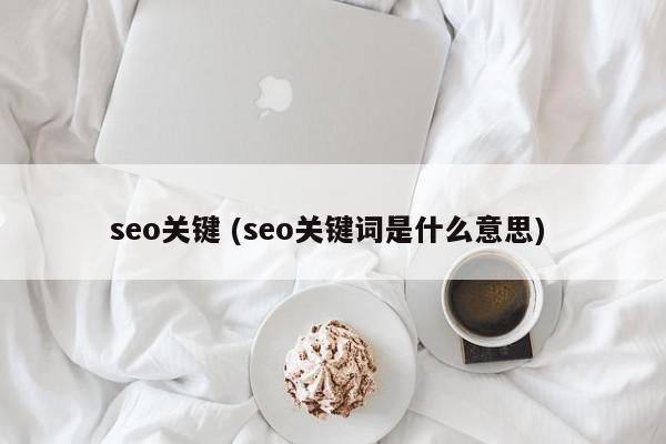 seo关键 (seo关键词是什么意思)