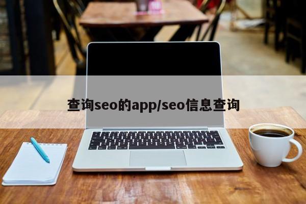 查询seo的app/seo信息查询