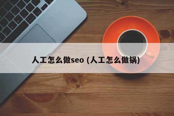 人工怎么做seo (人工怎么做锅)
