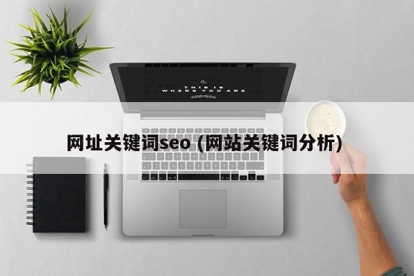 网址关键词seo (网站关键词分析)