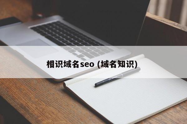 相识域名seo (域名知识)