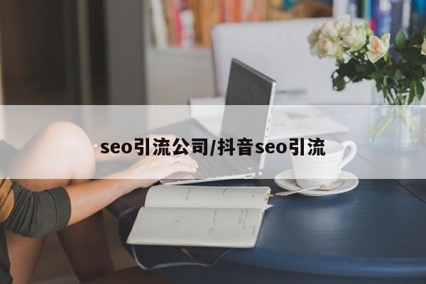 seo引流公司/抖音seo引流
