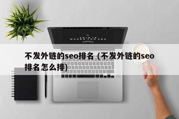 不发外链的seo排名 (不发外链的seo排名怎么排)
