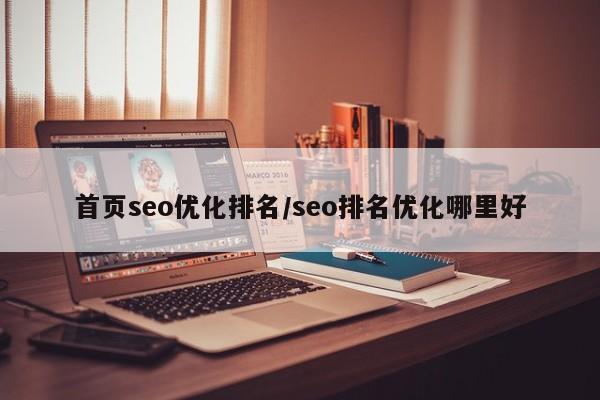 首页seo优化排名/seo排名优化哪里好