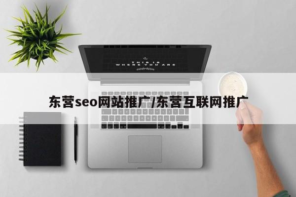 东营seo网站推广/东营互联网推广