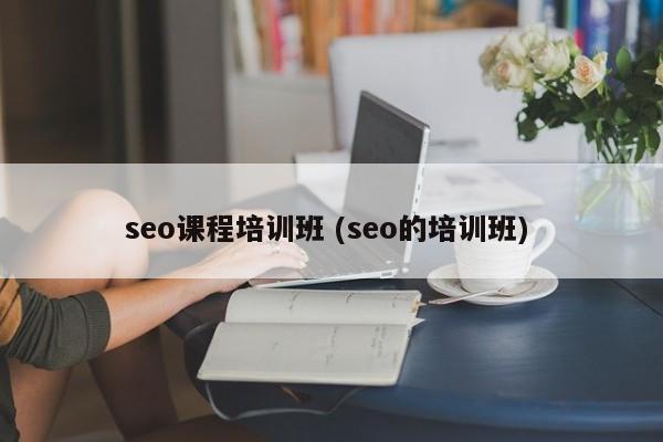 seo课程培训班 (seo的培训班)