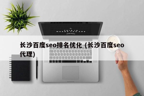 长沙百度seo排名优化 (长沙百度seo代理)