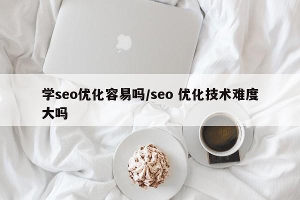 学seo优化容易吗/seo 优化技术难度大吗