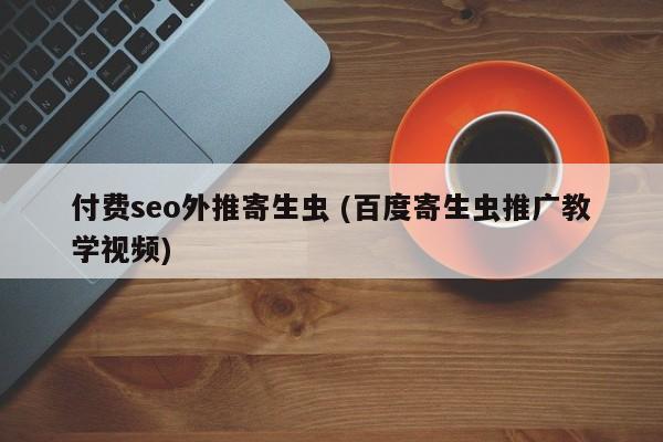 付费seo外推寄生虫 (百度寄生虫推广教学视频)