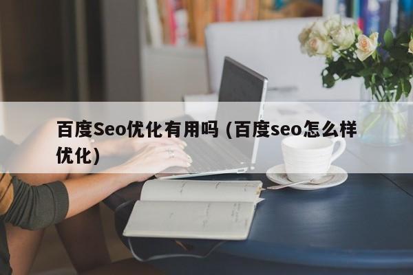 百度Seo优化有用吗 (百度seo怎么样优化)