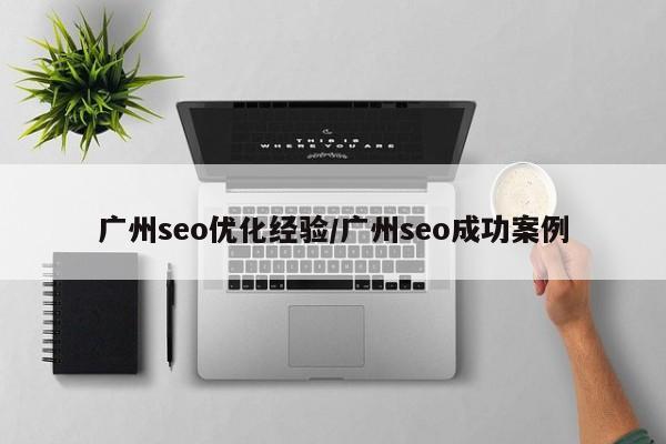 广州seo优化经验/广州seo成功案例