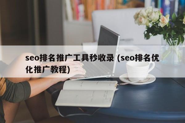 seo排名推广工具秒收录 (seo排名优化推广教程)