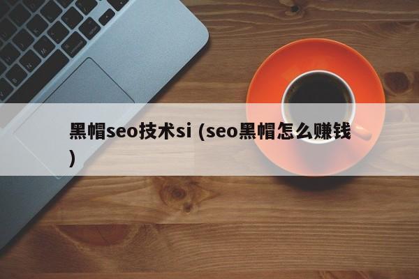 黑帽seo技术si (seo黑帽怎么赚钱)
