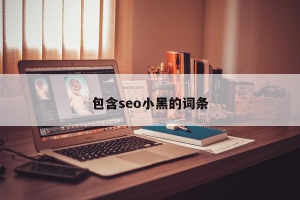 包含seo小黑的词条