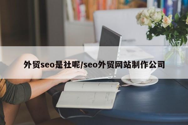 外贸seo是社呢/seo外贸网站制作公司