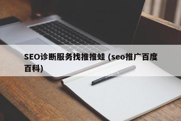 SEO诊断服务找推推蛙 (seo推广百度百科)