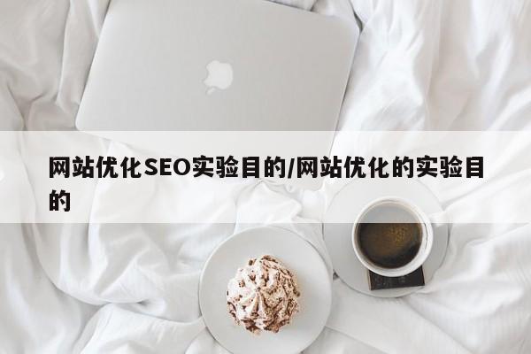 网站优化SEO实验目的/网站优化的实验目的