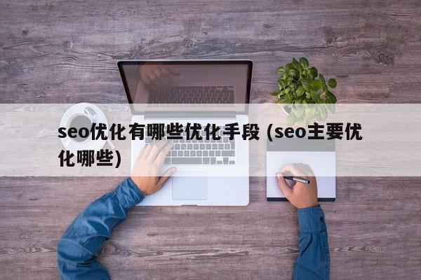 seo优化有哪些优化手段 (seo主要优化哪些)