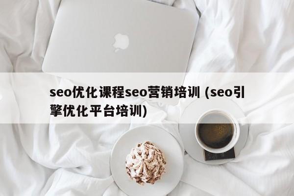 seo优化课程seo营销培训 (seo引擎优化平台培训)