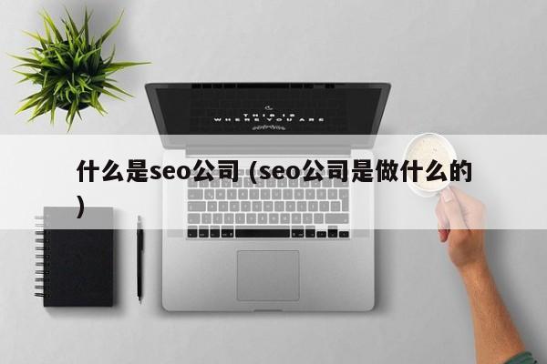 什么是seo公司 (seo公司是做什么的)